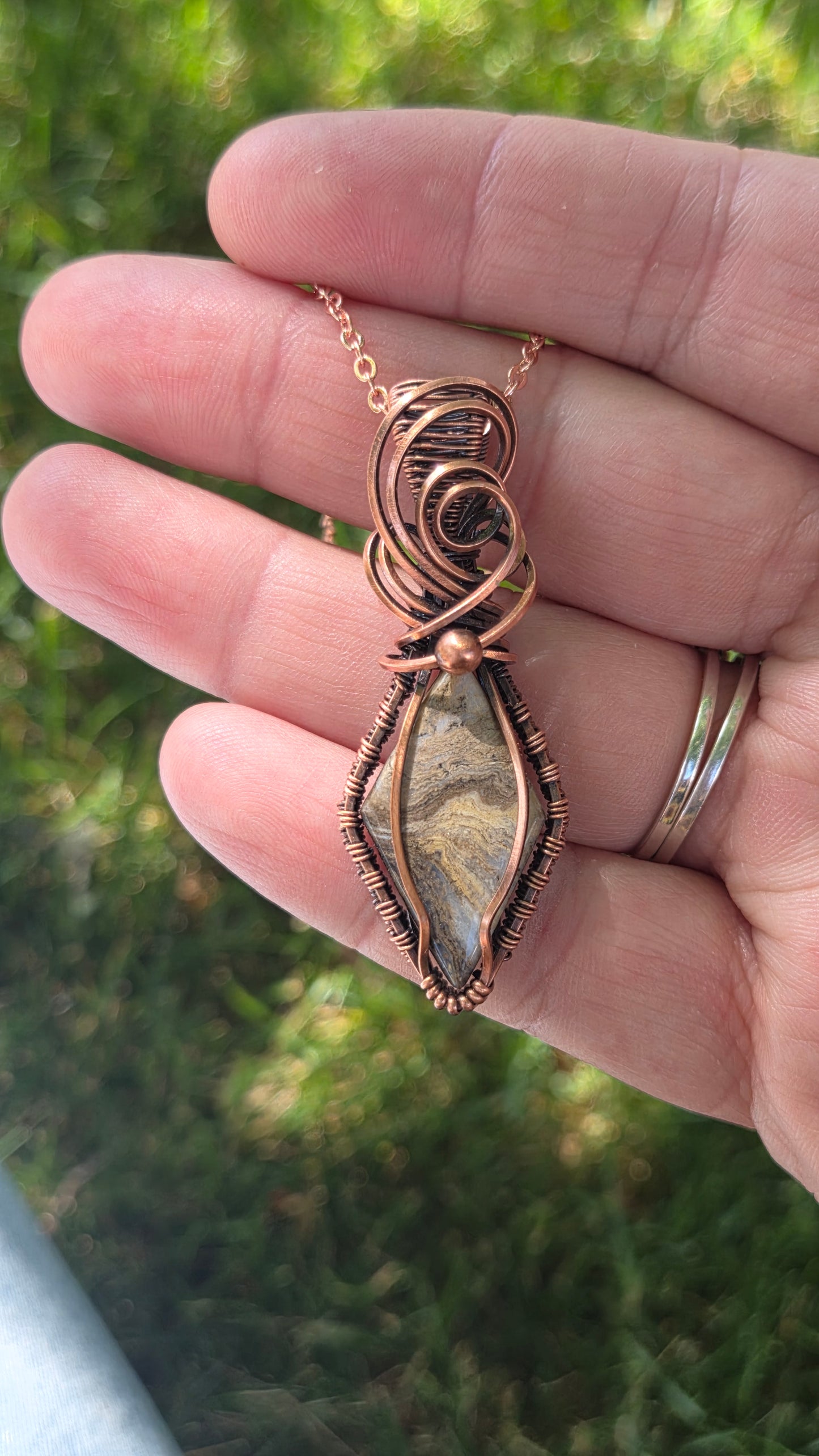 Idaho petrified wood and agate