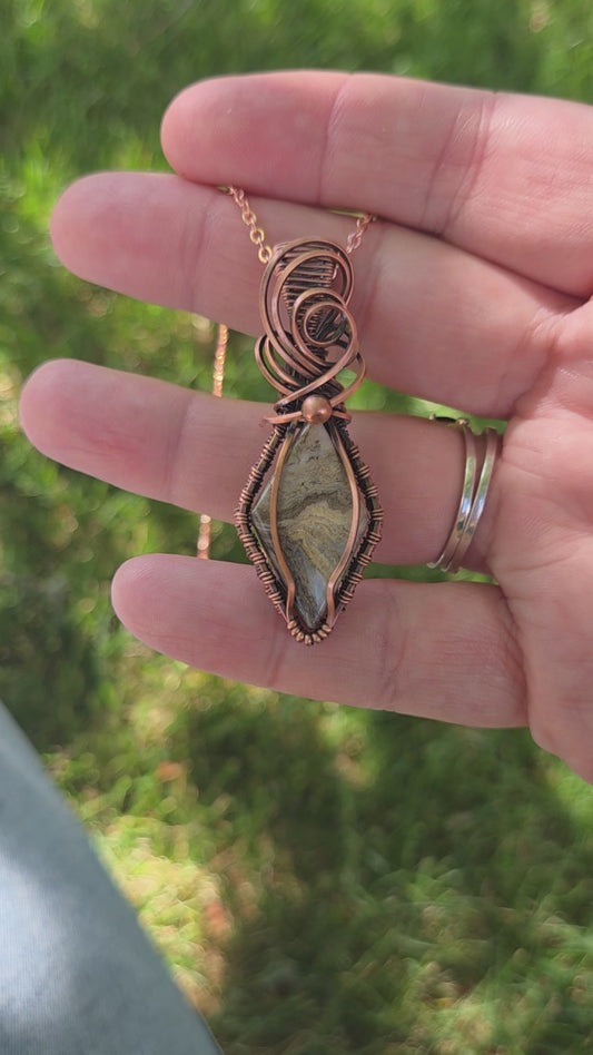 Idaho petrified wood and agate